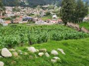 SE VENDE TERRENO 1.312M2 SECTOR SAYAUSI SANTA MARIA