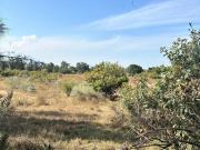 SE VENDE TERRENO A PIE DE CARRETERA ARENAL TALA