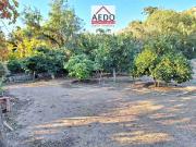 Se Vende Terreno Agricola, 3000 m2, con casa, comuna de...