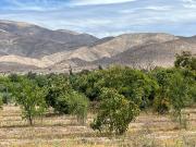 Se Vende Terreno Agrícola Chincolco, Petorca v Región