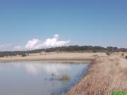 Se vende terreno Agrícola en Acambay