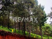 Se vende terreno campestre en Proyecto Avellaneda
