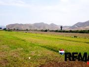 SE VENDE TERRENO CAMPO Y PLAYA EN SAN ANTONIO DE MALA EN...