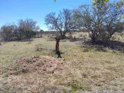 TERRENO EN SALTO DE LOS SALADOS CERCA DE Eden los Sabinos