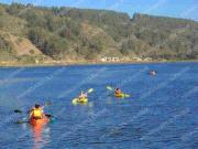 Se Vende Terreno con Cabañas en Cahuil, Pichilemu 2.275 m2