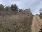 Se vende terreno con caseta en el Frasno