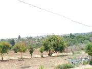 SE VENDE TERRENO CON CONSTRUCCIONES