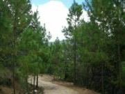 Se VENDE TERRENO con EXCELENTE VISTA en San Crist?bal de...