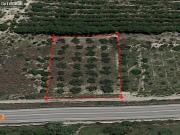 SE VENDE TERRENO CON OLIVERAS CARRETERA DE MULA