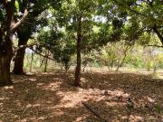 Se VENDE terreno de 14,925.37 m2 cerca del Blvd de Los...