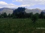 SE VENDE TERRENO DE 1 HA. EN SOLAR DE LOS REARTES