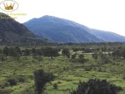 SE VENDE TERRENO DE 5.000 m2 EN LA CIUDAD DE AYSEN