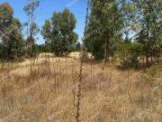 Se vende terreno de 5.000 mt. en Cuaquenes. Santa Elena....