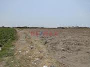 Se Vende Terreno De 5.8 Has En Supe Puerto Barranca