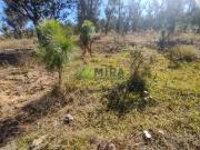 SE VENDE TERRENO EJIDAL EN TENENCIA MORELOS, Tenencia de...