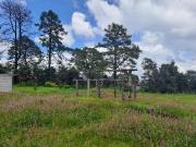 Se vende terreno ejidal Paraje Memetla, San Juan de las...