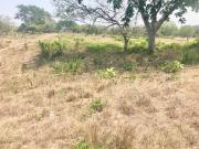 SE VENDE TERRENO EN AMPLIACION MATA DE PITA