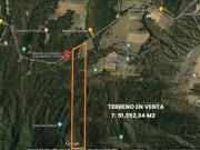 SE VENDE TERRENO EN BOSQUE DE LA PRIMAVERA