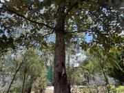 Se vende Terreno en Bosques de Lago, Bosques de Viena...