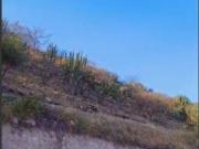 SE VENDE Terreno en Carretera Leon San francisco del rincón