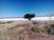 Se Vende Terreno en Ciudad Maderas SLP