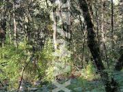 Se vende terreno en Corral de Piedra