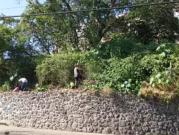 SE VENDE TERRENO EN EL CENTRO DE CUERNAVACA