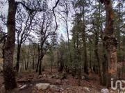 Se vende Terreno en Fraccionamiento Bosques de San...