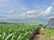 SE VENDE TERRENO EN IXTLAHUACAN DE LOS MEMBRILLOS