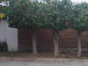 Se Vende terreno en Jiutepec Morelos