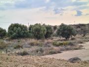 SE VENDE TERRENO EN LA ALCORAYA, ALICANTE.SEVENDGROUP.COM