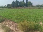 SE VENDE TERRENO EN LA HUERTA