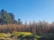 Se Vende Terreno en Metepec