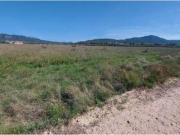 SE VENDE TERRENO EN NOVELDA