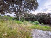 SE VENDE TERRENO EN RANCHO SAN JUAN