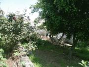 Se vende terreno en San Pedro Martir construye la casa...