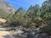 Se vende Terreno en Santa Catarina
