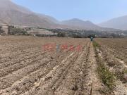 Se Vende Terreno En Santa Rosa De Quives Canta