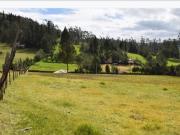 AMPLIO TERRENO EN VENTA, SECTOR TARQUI