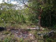 SE VENDE TERRENO, EXCELENTE INVERSION LA AMISTAD