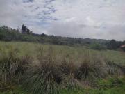 Se Vende Terreno lote Rústico Pinares Tapalpa