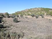 Se vende Terreno próximo a la Carretera de Castelserás...