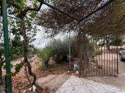 Se vende terreno rústico con casa en el Mingrano cerca...