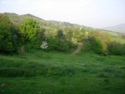 SE VENDE TERRENO RÚSTICO EN EL VALLE DE MENA