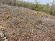 SE VENDE TERRENO RÚSTICO EN LA ZONA DEL CAMPESTRE
