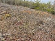 SE VENDE TERRENO RÚSTICO EN LA ZONA DEL CAMPESTRE