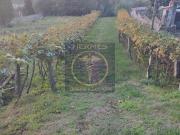 Se vende terreno rústico en Redondela, Saxamonde