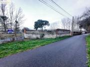 SE VENDE TERRENO RUSTICO EN TUDELA DE DUERO