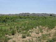 Se vende terreno Rustico y vallado en Plasencia Zaragoza