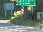 Se vende terreno sector Los Coligues de Quilpué